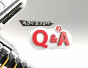 이것이 알고싶다QnA